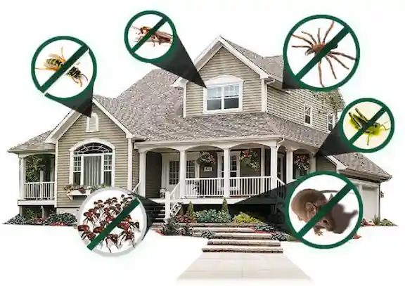 Residential pest control service image